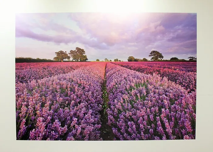 ゲストハウス Luwiana