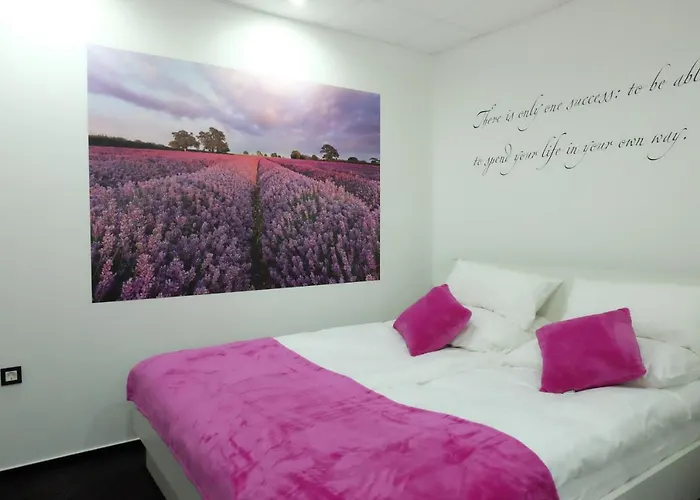 Luwiana ゲストハウス 3*